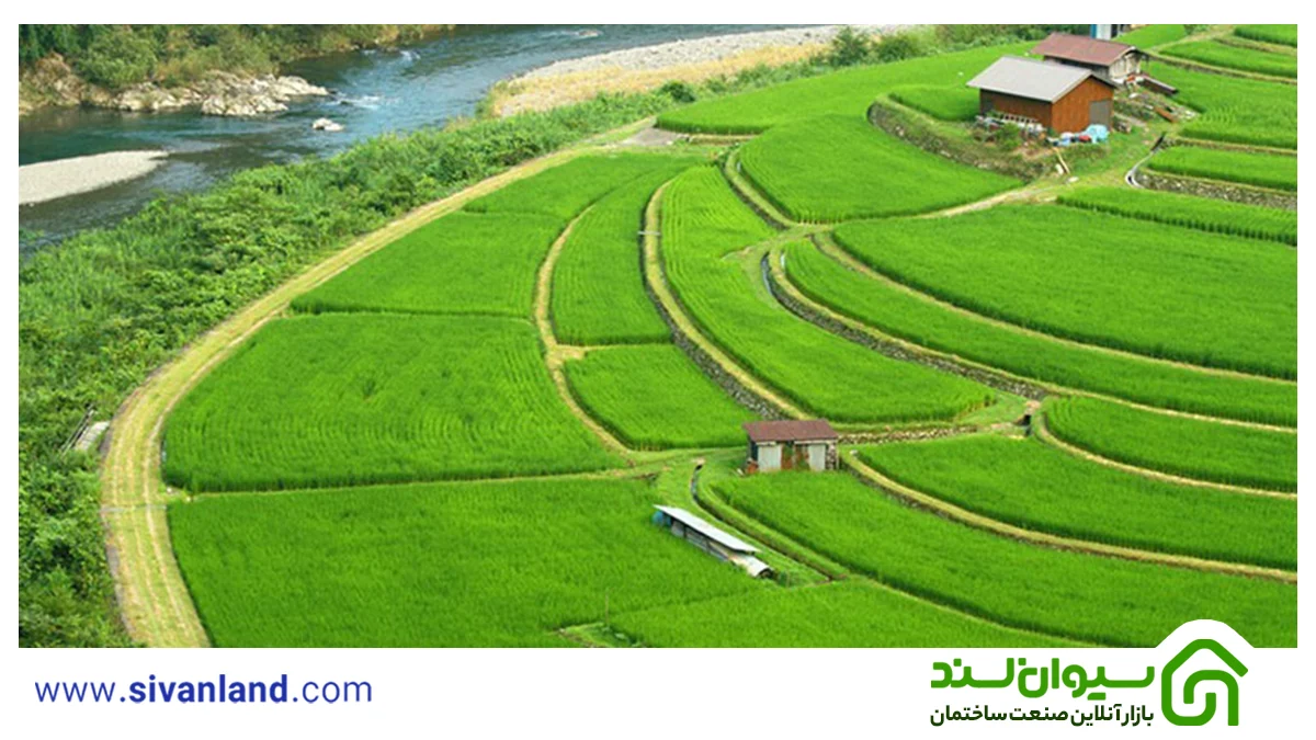 سطح بندی زمین